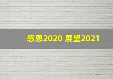 感恩2020 展望2021